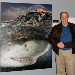 Seattle Area Photographer Bruce Yates' Award Winning Lemon Shark Photo Goes on Display at Smithsonian, Raises Money for Charity