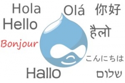 An Innovative Solution for Multilingual Drupal Websites