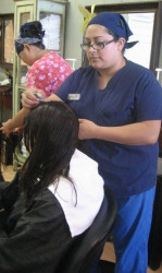 New Head Lice Detection Research Validates Service Provided by Leading Lice Removal Salon