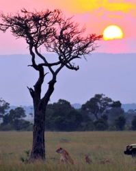 Escape to Africa with JourneyKenya.com Offering Travelers a Saving of 15% Off Their Safari and Beach Holiday