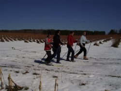 Nordic Walking Poles and the Cross Country Skiing Connection