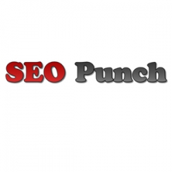 SEOPunch Introduces the SEO Website Review
