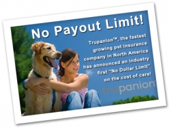 Trupanion™ Announces an Industry First in Pet Insurance - PR.com