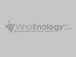 VinoEnology.com - Winemaking Calculators and Wine Industry Marketplace Go Online