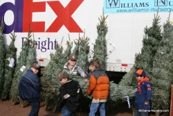 Support Our Troops This Weekend with a Real Christmas Tree