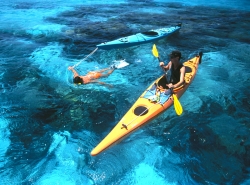 Island Expeditions Encourages All to Come and Experience Lighthouse Reef Atoll This April, Following in the Footsteps of Jacque Cousteau