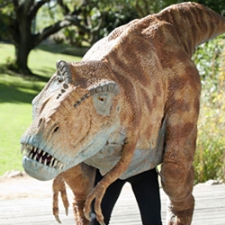 Hollywood Effects House Creates 15-Foot Long T. Rex for Santa Barbara Zoo Show "How to Train Your Dinosaur"