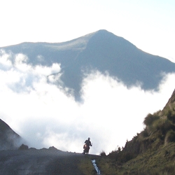 Coffee, Chocolate and Cloudforest: Now Serving Motorcycles