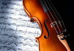 MyReviewsNow in Affiliation with Violin Master Pro Announce Limited Time Offer