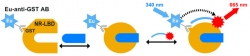 MoBiTec GmbH, Germany, is Offering Nuclear Receptor Fusion Proteins That Are of Importance to the Pharmaceutical Industry for FRET Interaction Studies