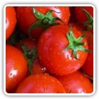 MyReviewsNow Shop At Home Shows When to Plant Tomatoes