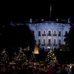 Living Christmas Tree Brightens Distant Family Christmas