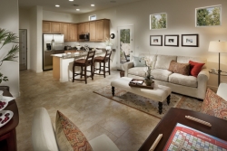 Lennar's Multi-Generational Home a Success in Arizona