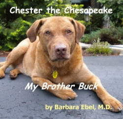 Chester the Chesapeake Book Four: My Brother Buck