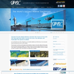 Gray Taxidermy is Continuing to Perfect the Art of Mounting Fish. Now Showcased with an Entirely Newly Designed Website.