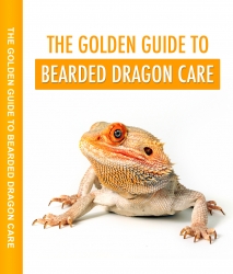 New Book Released "The Golden Guide To Bearded Dragon Care" Helps Your Pet Survive Up to 12 Years