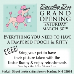 Grand Opening of The Dazzling Dog