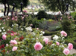 Fine Iron Climbing Structures for Roses - Anniversary: 15 Years Classic Garden Elements