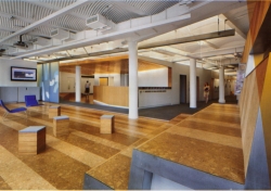 Globus Cork Floor Installed at New York University