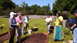 Are Community Gardens Enough to Feed America?