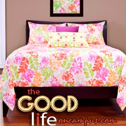 TheGoodLifeOnCampus.com Reveals: 36% of American College Students Suffer from Dorm Inadequacy