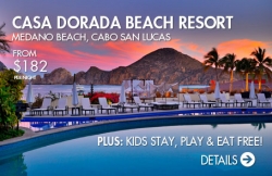 Casa Dorada Los Cabos Celebrates 5 Years of Successful Sea Turtle Conservation Efforts