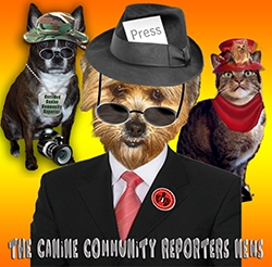 Talking Dog Reporters in Your Community