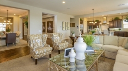 New Taylor Morrison Collection of Homes Debuts at Reserve at Norterra in North Phoenix