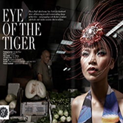 Eye of the Tiger: Fashion Affair Magazine by New York Commercial Fashion Photographer Steven Paul