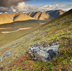 Anchorage Photographer Selected for "Voices of the Wilderness" Exhibit