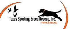 Texas Sporting Breed Rescue, Inc. Selected as 2014 Bird Dog Jamboree Benefactor