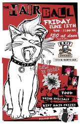 Hair Ball Event/Chicago Cat Rescue