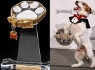 Golden Collar Awards Creator and Pet-Friendly Companies to Create Life Saving Programs