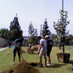 Celebrating the Newly Renovated Play Areas for Children Ages 1- 5 at Ruben F. Salazar Park in East Los Angeles