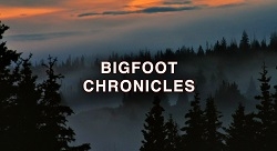 bigfoot 2012 in hindi