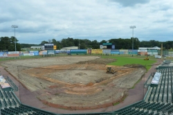 Face-Lift for the Delmarva Shorebirds