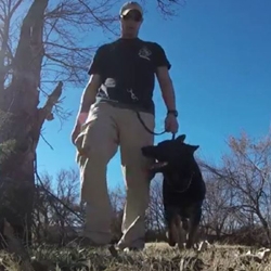 New Canine Fitness Center Unveiled