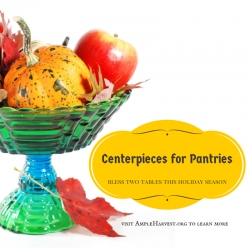 2016 "Centerpieces for Pantries" Program Launched