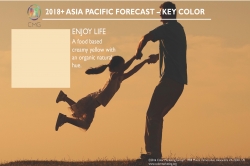 Color Marketing Group Announces 2018+ Asia Pacific Key Color - Enjoy Life