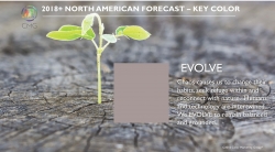 Color Marketing Group Announces 2018+ North American Key Color - Evolve