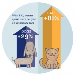 Research Highlights Pet Insurance Best Practices