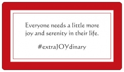 Everyone Needs a Little More Joy and Serenity in Their Life