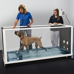 Aquapaws treadmill store