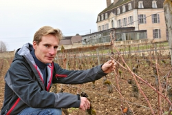 Château de Pommard Welcomes New Assistant Winemaker