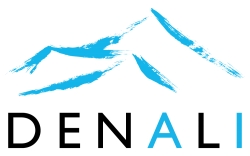 Denali Advanced Integration Recognized for Excellence in Managed IT Services