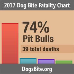 Nonprofit Releases 2017 Dog Bite Fatality Statistics and Trends from 13-Year Fatality Data Set (2005 to 2017)