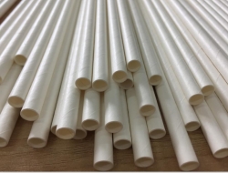 True Green Enterprises Announces Competitively Priced Tree Free Paper Straws