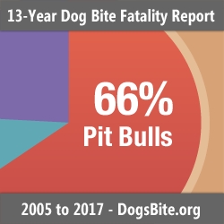 Nonprofit Releases Multi-Year Report: U.S. Dog Bite Fatalities Over a 13-Year Period; Breeds of Dogs Involved, Age Groups & Other Factors