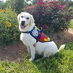Custom-Trained Autism Service Dog to Help 7-Year-Old Girl in Riva, MD