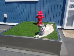 Dog-ON-It-Parks Announces New Pet Relief Station